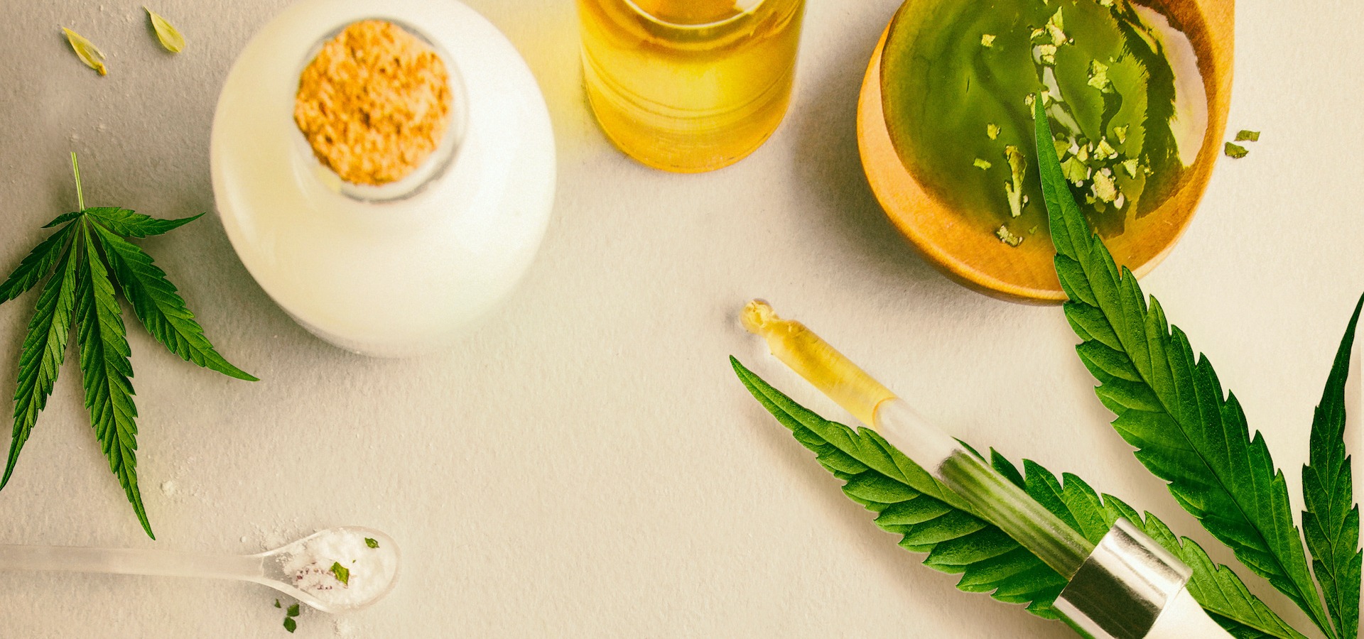 Konopie dla psów? Jak można pomóc?