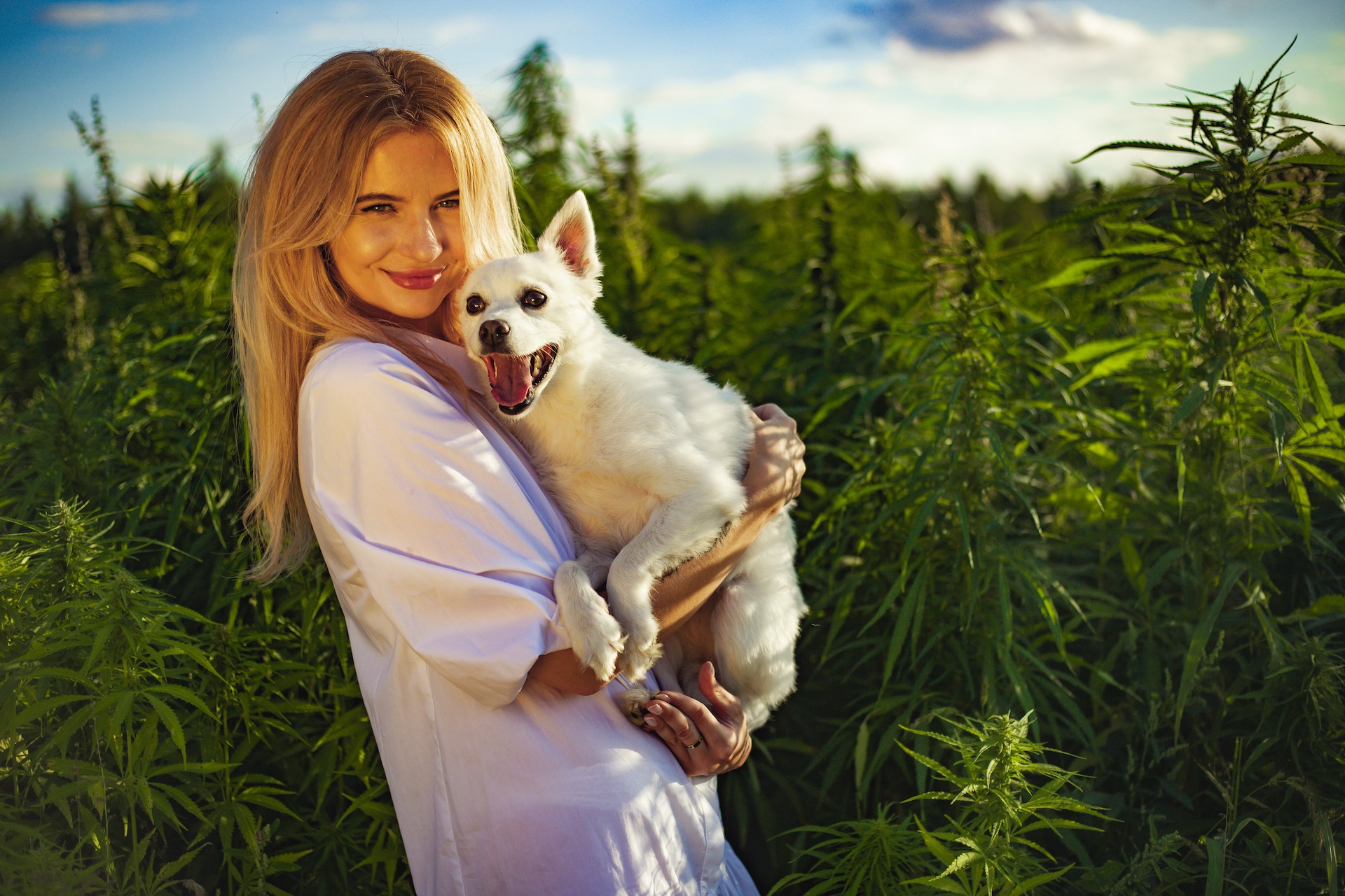 I jeszcze jeden wpis testowy